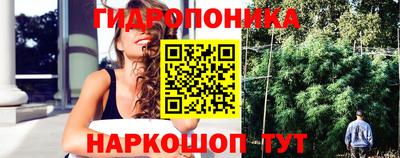 сатива Кинель