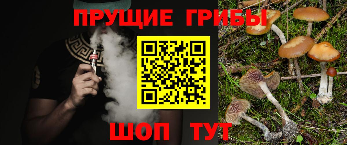 Галлюциногенные грибы Cubensis Кузнецк